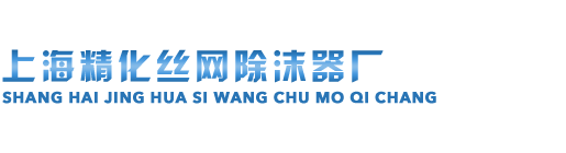 上海精化丝网除沫器厂